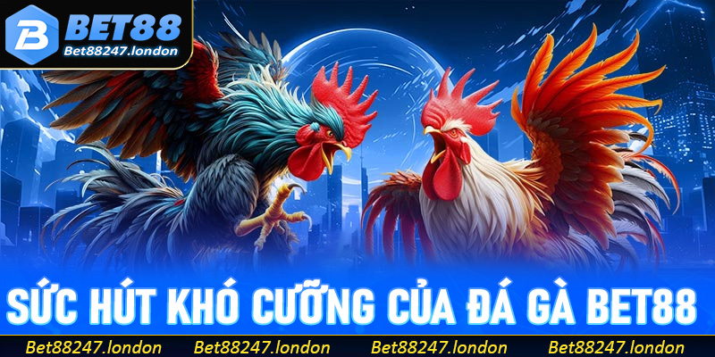 Khám phá sức hút khó cưỡng của sảnh game đá gà Bet88