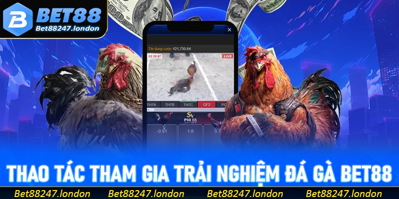 Hướng dẫn các thao tác tham gia trải nghiệm đá gà Bet88
